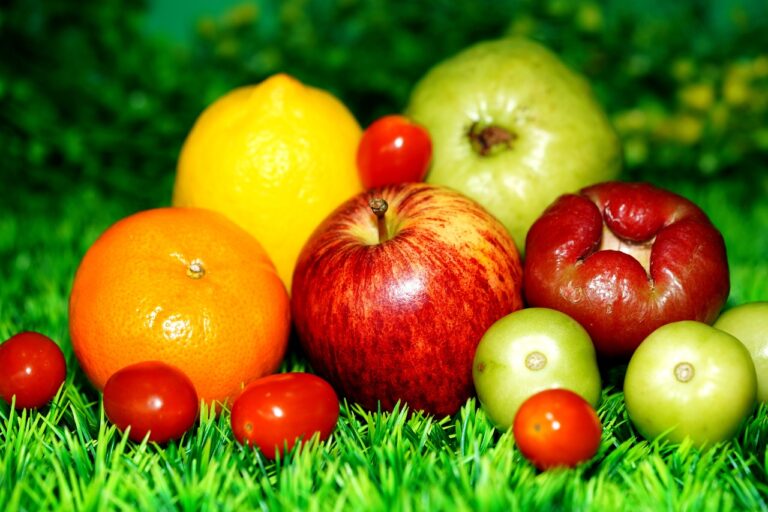 Antylopa w sosie z mango – Afryka na widelcu
