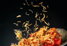 Gdzie zjeść najlepsze sushi w Poznaniu? Kulinarna podróż przez serce miasta