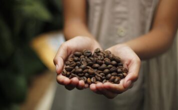 Od Indonezji do Warszawy – historia, od której zaczęła się kawa INTRO