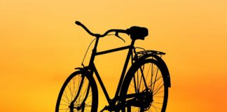Jaki rower Marin na las, miasto i szutry