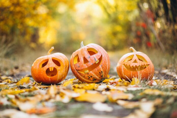 gadgemayur-pumpkin-6720424_1280