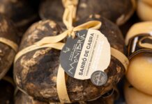 Queso Manchego Curado vs Gran Reserva – jak rozpoznać wiek i autentyczność hiszpańskiego sera z owczego mleka? Queso Manchego Curado vs Gran Reserva – jak rozpoznać wiek i autentyczność hiszpańskiego sera z owczego mleka?