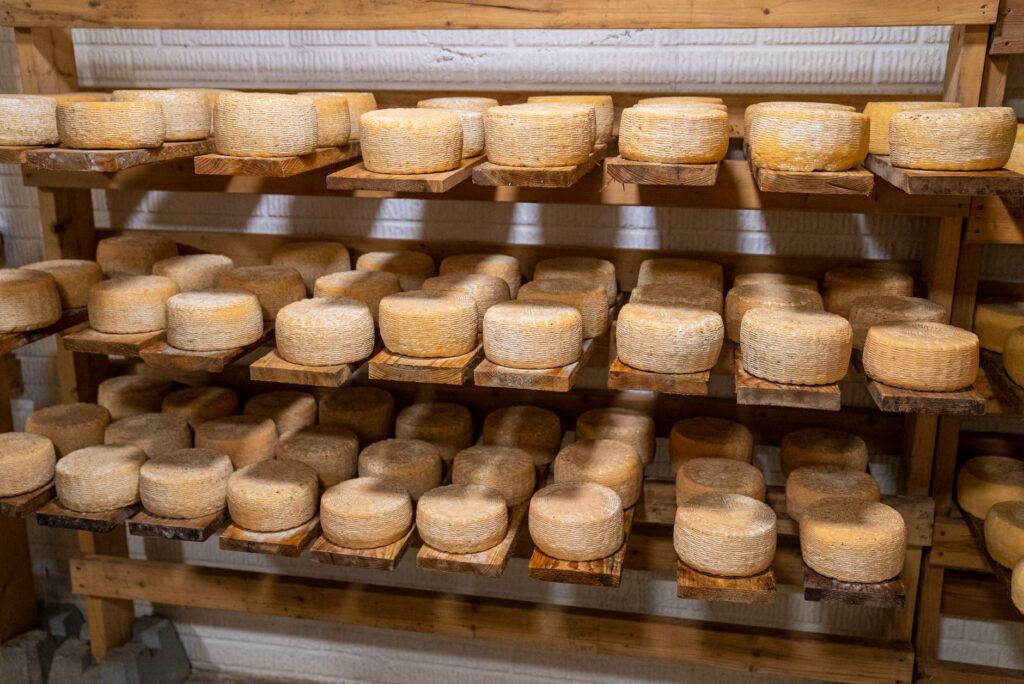 Queso Manchego Curado vs Gran Reserva – jak rozpoznać wiek i autentyczność hiszpańskiego sera z owczego mleka?